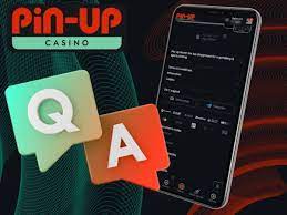 Игорное заведение Pin Up
